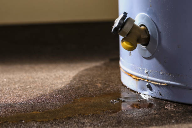 Best Flooded house restoration  in Lemont Furnace, PA