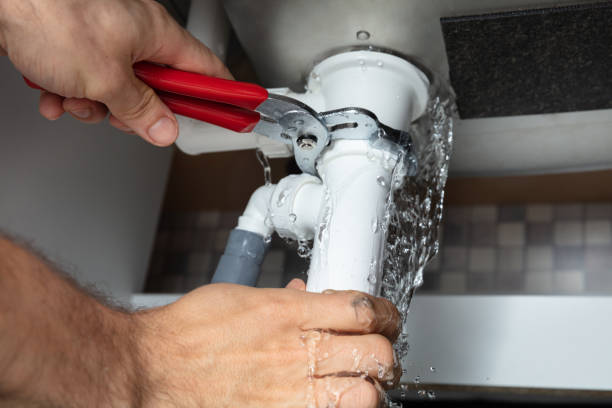 Best Local water damage restoration  in Lemont Furnace, PA