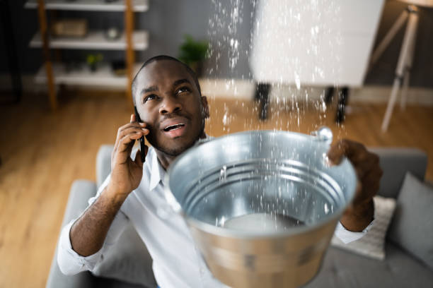 Best Water damage cleanup near me  in Lemont Furnace, PA