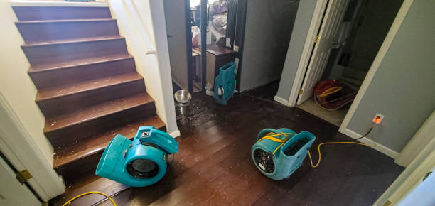 Best Emergency water damage restoration  in Lemont Furnace, PA