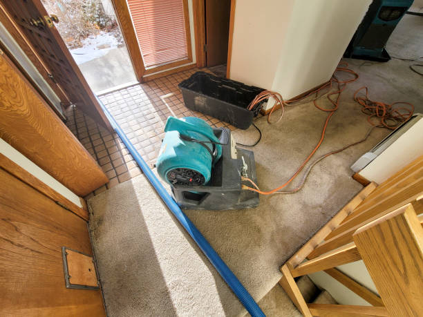 Best 24/7 water damage repair  in Lemont Furnace, PA