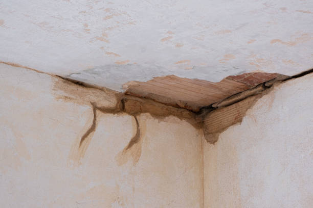 Best Sewage cleanup and water damage restoration  in Lemont Furnace, PA
