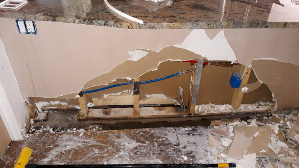 Best Water damage repair service  in Lemont Furnace, PA