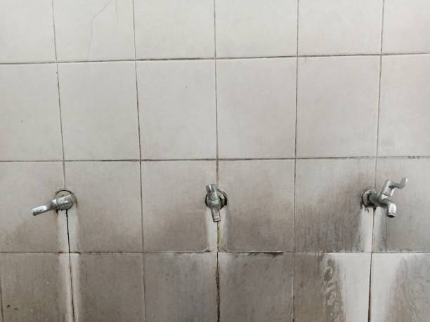 Best Local water damage restoration  in Lemont Furnace, PA