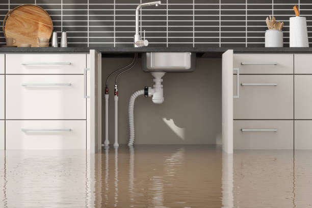 Best Sewage cleanup and water damage restoration  in Lemont Furnace, PA