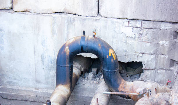 Best Mold removal after water damage  in Lemont Furnace, PA