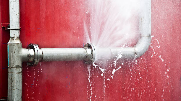 Best Flood damage cleanup  in Lemont Furnace, PA